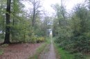 Forêt Verte